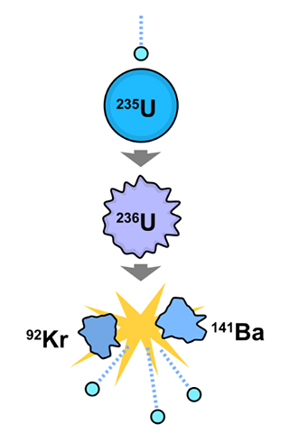 Image is a diagram of Nuclear fission reaction in Uranimum